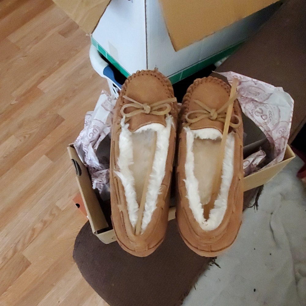 Shoes